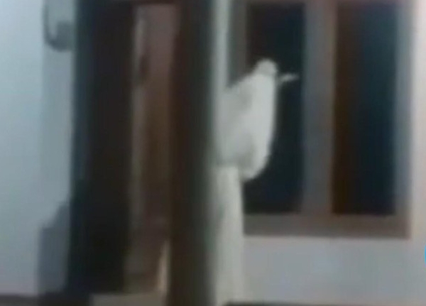 Tangkapan layar video viral "pocong bawa celurit" yang gegerkan warga Bangkalan