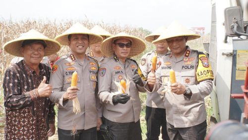 Kapolda Jatim Pimpin Panen Raya Jagung di Sidoarjo