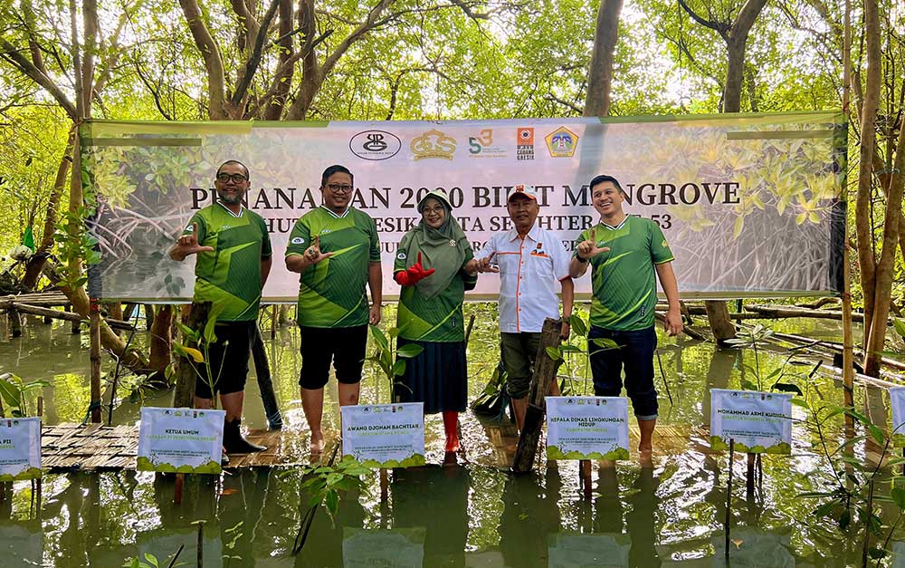 PII dan GCS Tanam 2.000 Bibit Mangrove di BMC Ujungpangkah
