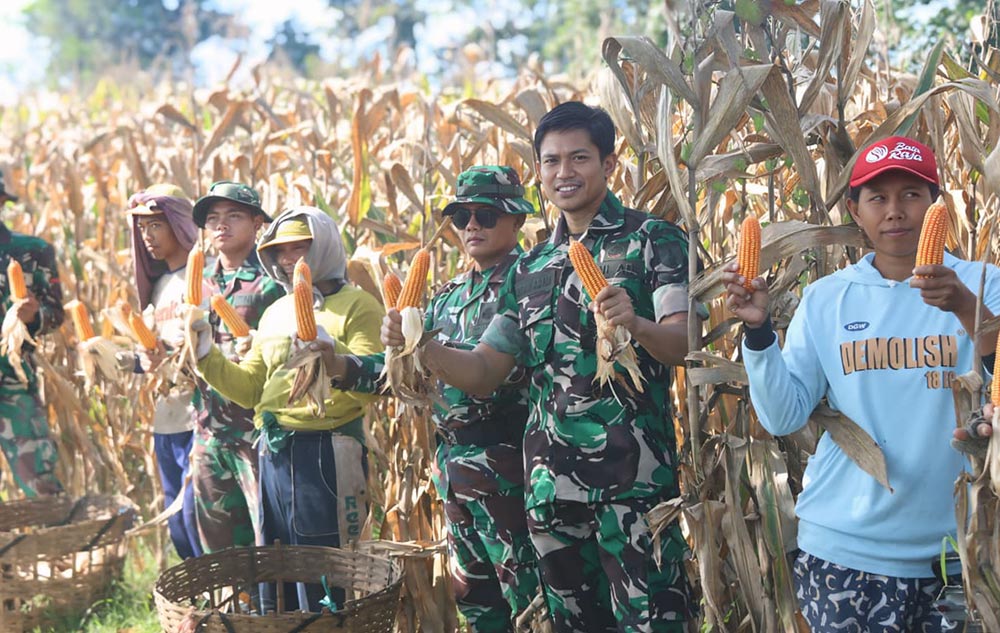 Satgas TMMD saat panen raya jagung bersama petani setempat. Foto: Ist. 