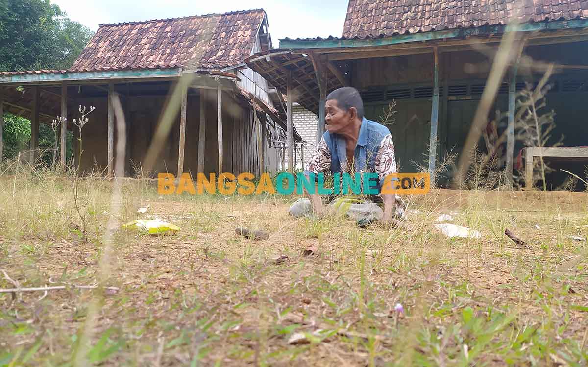 Kondisi Budeli saat merangkak di tanah untuk bersih-bersih halaman rumah. Foto: MUTAMMIM/BANGSAONLINE
