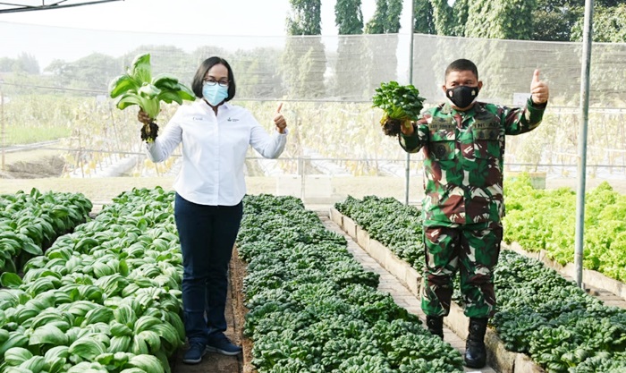 Sinergi Petrokimia, TNI AD, dan Pemkab Gresik Melalui Demplot Dambaan Mampu Tingkatkan Hasil Panen