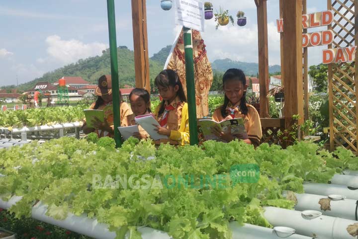 Siswa SDN 1 Surodakan saat mempelajari di tanaman hidroponik di kawasan Pertanian Terpadu Trenggalek Agropark. foto: HERMAN/ BANGSAONLINE