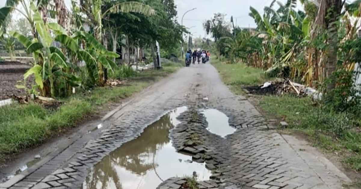 Kondisi jalan rusak di Desa Ngampel, Kecamatan Balongpanggang, Gresik. Foto: Ist