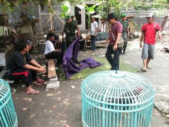?Aparat Kodim mengumpulkan barang bukti di sekitaran arena sabung ayam. Foto:imam hambali/BANGSAONLINE