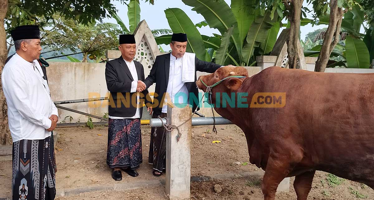 Pemkab Madiun Salurkan 40 Hewan Kurban ke Masjid dan Ponpes