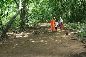 Hutan Kera di Desa Betioh, Kecamatan Banyuates Sampang. foto: Bahri/BangsaOnline.