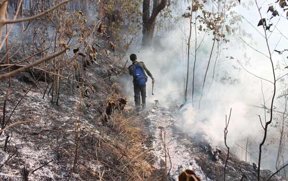 BERASAP: Kondisi hutan Gunung Lawu yang masih tampak mengeluarkan asap, Senin (19/10) siang. Foto: zainal abidin/BANGSAONLINE