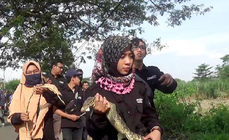 Tekan Populasi Hama, Warga Mlati Kediri Lepaskan Predator, Inisiasi Kampung Satwa