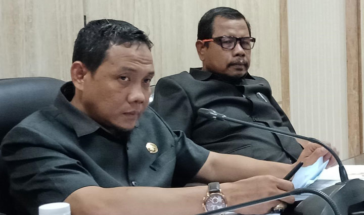 Wakil Ketua Pansus Angket DPRD Jember, David Handoko Seto.