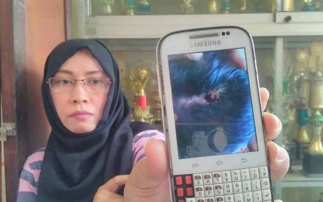 Orang tua Gladys menunjukan foto luka anaknya yang dipukul oleh guru olahraganya.