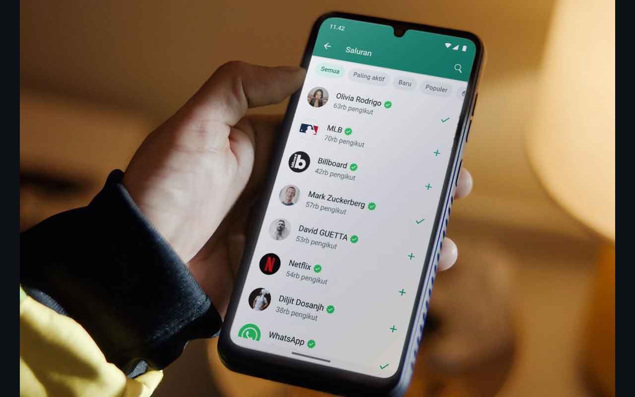 Whatsapp Makan Banyak Memori Internal, Ini Cara Kelola Penyimpanan Agar Tidak Penuh