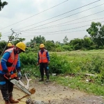Pemotongan kayu dilakukan petugas pasca kejadian puting beliung pada Senin, 9 Desember 2019.