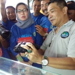 Wakil Bupati Lumajang, Indah Amperawati saat melihat Bongkahan Batu Bulu Macan Asli Lumajang yang dipamerkan di Event Batu Akik.