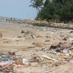 Sampah berserakan di Pantai Kelapa Kelurahan Panyuran, Kecamatan Palang, Kabupaten Tuban. foto: GUNAWAN/ BANGSAONLINE