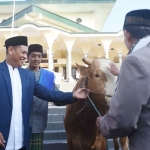 Wali Kota Kediri Abdullah Abu Bakar saat menyerahkan sapi kurban kepada Takmir Masjid Agung Kota Kediri. foto: ist.