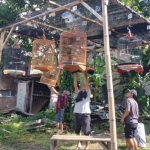 Komunitas burung di Malang.
