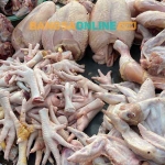 Daging ayam ras menjadi salah satu komoditas yang disorot semenjak Idulfitri 1447 H karena harganya yang sempat fluktuatif. Foto: Bangsaonline.
