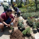 Sudarto, salah satu pedagang bunga tengah mengemas bunga untuk pengiriman antar kabupaten.