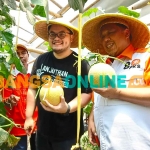 Calon Bupati Kediri nomor urut 2 bersama Ketua DPW PKS Jatim usai memetik melon. Foto: MUJI HARJITA/BANGSAONLINE