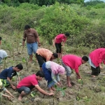 GMNI Tuban saat menanam puluhan pohon di Mangrove Center, Desa/Kecamatan Jenu, Tuban. foto: GUNAWAN/ BANGSAONLINE