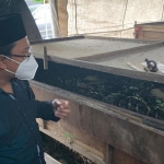 SIAPKAN PENDAMPINGAN: Gus Muhdlor saat mengunjungi usaha ternak jangkrik di Desa Ploso Krembung, Senin (26/10). foto: ist.
