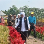 Gubernur Khofifah di dampingi Bupati Mojokerto dan OPD terkait saat sedang meninjau tanaman refugia di lahan pertanian Desa Ngarjo.