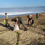 Petugas bersama masyarakat saat membersihkan sampah di bibir pantai.