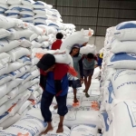 Buruh angkut ketika memindahkan beras di gudang Bulog.