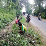 Penanaman pohon Mahoni oleh Koramil Singgahan.