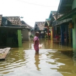 Banjir yang menggenangi kawasan Kedungringin dan Kedungboto, Kecamatan Beji, Kabupaten Pasuruan itu ketinggiannya sampai di atas lutut orang dewasa.