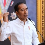 Presiden Jokowi Sebut Bulan Februari 2023 Banyak Turis China Masuk Indonesia. Foto: Ist