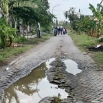 Kondisi jalan rusak di Desa Ngampel, Kecamatan Balongpanggang, Gresik. Foto: Ist
