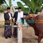 Penyerahan kurban dari Pemkab Madiun. Foto: HENDRO SUHARTONO/BANGSAONLINE