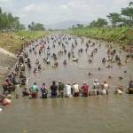 Ribuan warga breebut ikan mabuk. foto: fery/BANGSAONLINE