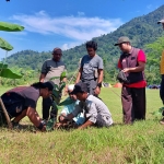 Tim PFN saat menanam ficus di Lapangan Sanenrejo, Kecamatan Tempurejo, Jember. Foto: Ist