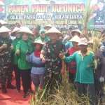 Pangdam V Brawijaya Mayjen. TNI Nurcahyanto bersama para petani saat panen raya padi di Ngawi.