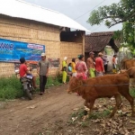 Program Upsus Siwab yang terus digalakkan di Kabupaten Probolinggo.