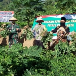 Kapolres Kediri Kota AKBP Miko Indrayana (tengah) saat melakukan panen kacang tanah di Kampung Tangguh Semeru Desa Parang, Kecamatan Banyakan, Kabupaten Kediri. foto: MUJI HARJITA/ BANGSAONLINE