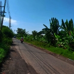 Ruas jalan Cangkringmalang-Kedungboto, Kecamatan Beji, Kabupaten Pasuruan, yang biasa dijadikan alternatif.