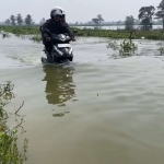 Salah satu jalanan di Desa Kalitengah yang terendam luapan Sungai Bengawan Jero.