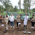 Wamen ATR/BPN saat melakukan penanaman pisang cavendish di Desa Asahduren, Kabupaten Jembrana, Bali.