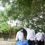 Wali Kota Kediri, Abdullah Abu Bakar (dua dari kiri) saat mengecek sebuah pohon. foto: ist.