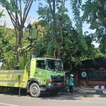 BPBD Lamongan bersama OPD terkait saat memangkas ranting pohon untuk mencegah pohon tumbang saat cuaca esktrem