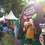 Festival Jeruk Pamelo yang digelar Pemkab Magetan di timur Pasar Baru.