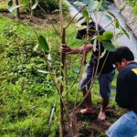 Relawan Peduli Lingkungan EPPI saat menanam pohon. Foto: Ist