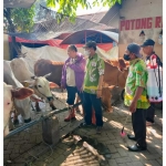 Petugas Dinas Peternakan dan Kesehatan Hewan Kabupaten Pasuruan saat menyemprotkan disinfektan ke sapi-sapi di pasar hewan.