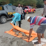Petugas saat mengevakuasi jasad yang tinggal tulang belulang di Pantai Jolosutro, Desa Ringinrejo, Kecamatan Wates, Kabupaten Blitar, Jumat (19/11/2021).