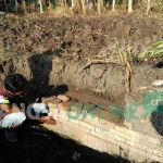 Tumpukan batu bata kuno yang ditemukan warga Desa Karobelah, Kecamatan Mojoagung, Kabupaten Jombang.  foto: ROMZA/ BANGSAONLINE