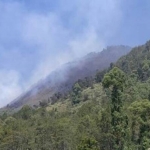 Lereng Gunung Panderman yang terbakar tahun kemarin.